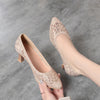 Summer Single Shoes Mesh Breathable Versatile High Heels Women's Shoes Middle-Aged Temperament Pointed Toe Shallow Mouth Shoes