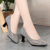 Summer Single Shoes Mesh Breathable Versatile High Heels Women's Shoes Middle-Aged Temperament Pointed Toe Shallow Mouth Shoes