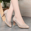 Summer Single Shoes Mesh Breathable Versatile High Heels Women's Shoes Middle-Aged Temperament Pointed Toe Shallow Mouth Shoes