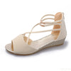 New Summer Sandals 2025 Ladies fashion bags Shoes Solid color minimalist fish mouth shoes Low heel back zipper Women's sandals